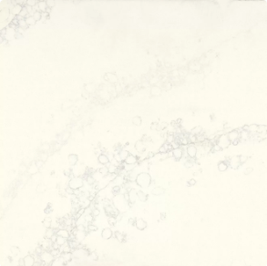 Statuario Melody - quartz countertop